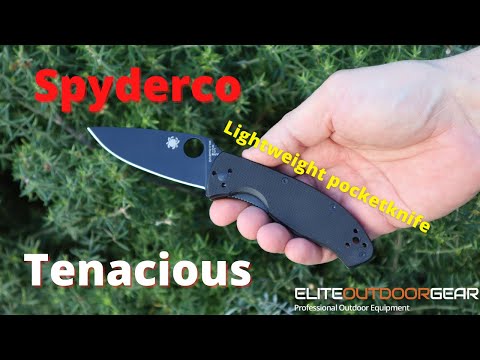 Spyderco TENACIOUS | Lightweight Pocketknife