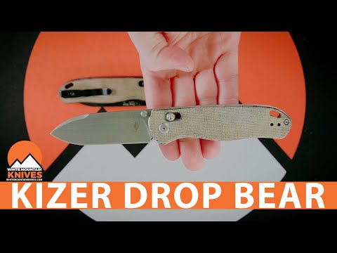 Kizer Drop Bear Folding Knife - Quick Look