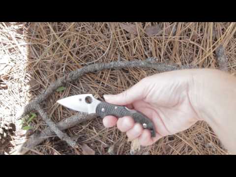 Spyderco Dragonfly 2 Zome Green Plain Edge C28ZFPGR2 - video demo