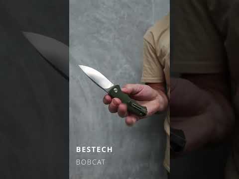 BESTECH BG22B 1 Bobcat Flipper Knife #Shorts