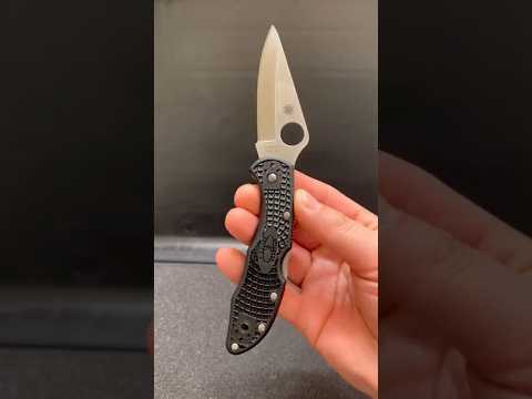 Spyderco Delica 4 Pocket Knife