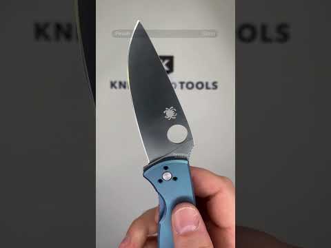 Spyderco Tenacious C122TIBLP Blue Titanium pocket knife