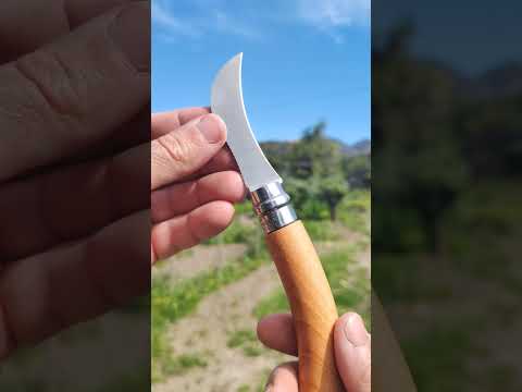 Opinel N.8 Mushroom version #opinel #knife @OPINELOFFICIAL #video