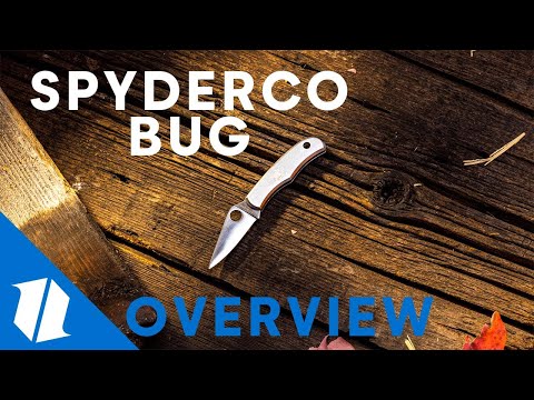 SPYDERCO BUG | Knife Overview