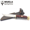 Muela Bowie 14 / Coral Wood Handle
