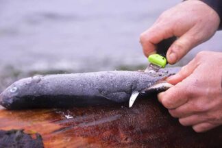 Morakniv Fishing Comfort Fillet 155 Knife