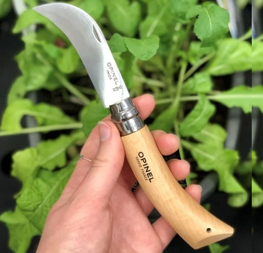 Opinel #08 Pruning Knife - Stainless Steel