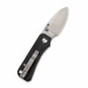 CIVIVI Baby Banter C19068S-1, Black G10 with Stonewash Nitro-V Blade