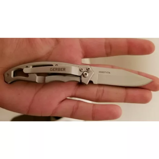 Gerber Paraframe Mini – Fine Edge