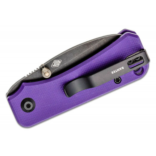 CIVIVI Baby Banter C19068S-4, Purple G10 with Black Stonewash Nitro-V Blade