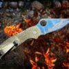 LynchNW Spyderco Para 3 Deep Carry Titanium Clip