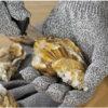 Knife Depot Cut Resistant Gloves - Cut Level 5