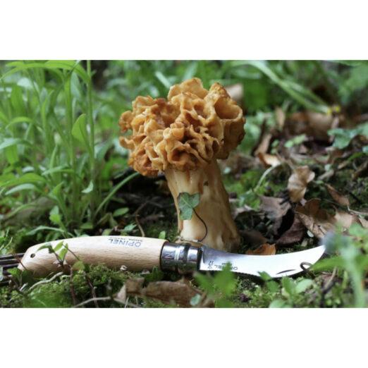 Opinel #08 Mushroom Knife with Brush