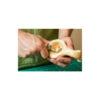 BeaverCraft S38 Right-Handed Spoon Carving Kit with Short Gouge