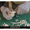 Beaver Craft S01 Basic Spoon Carving Kit for Right-Handed Beginners