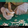 Beaver Craft S01L Basic Spoon Carving Kit for Left-Handed Beginners