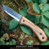 BeaverCraft BSH2 Glacier - 4.13" Carbon Steel Fixed-Blade Bushcraft Knife with Walnut Handle and Leather Cover