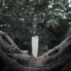 Vosteed Mink D0103 - 3.99" Nitro-V Fixed Sheepsfoot Blade, Black Micarta Handle