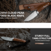 CIVIVI Cloud Peak C23044-3, 4.6" Nitro-V Satin Fixed Blade, Contoured Guibourtia Wood Handle, Brown Leather Pouch