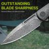 CIVIVI Caetus C21025C-DS1, Twill Carbon Fibre with Damascus Blade