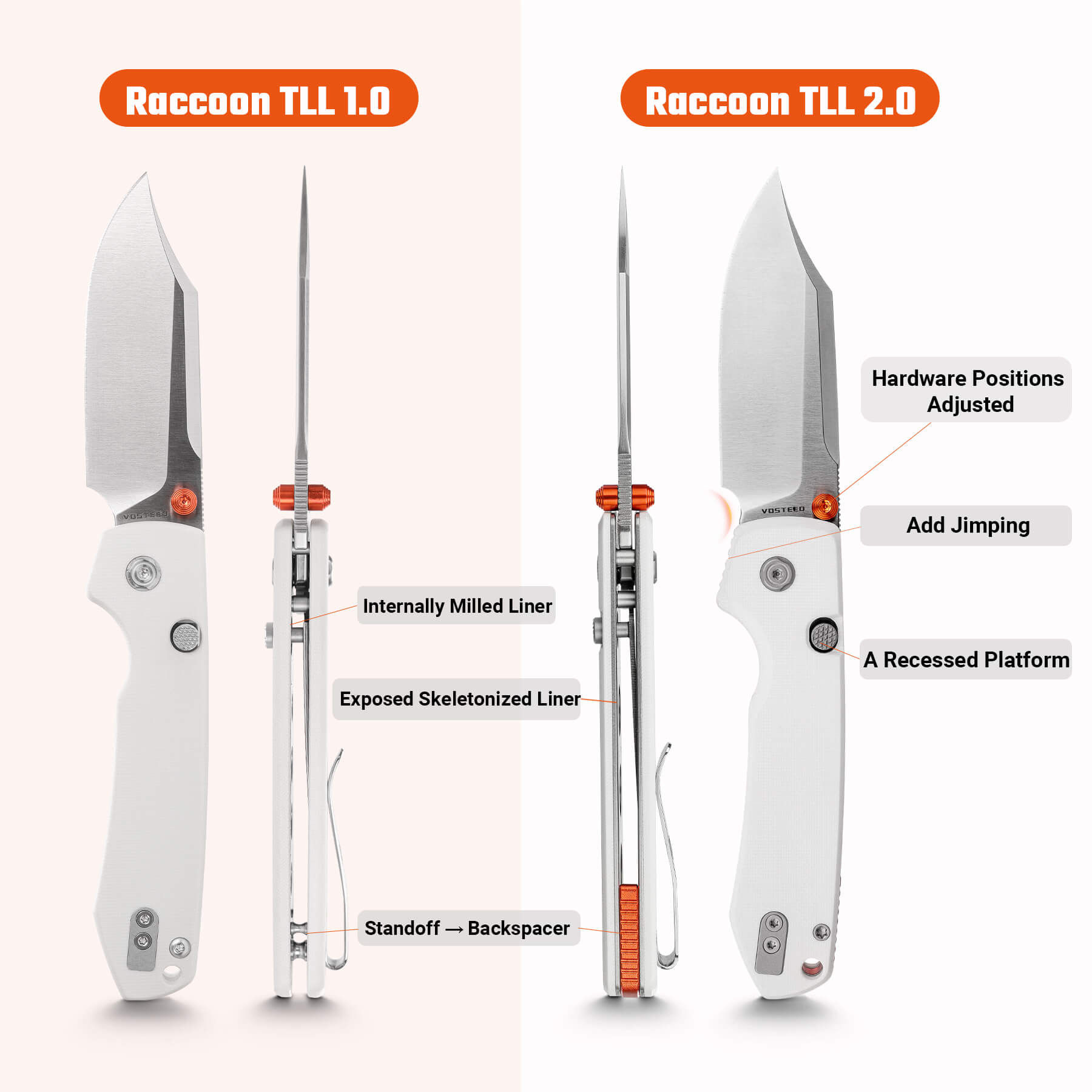Side-by-side diagram comparing Raccoon TLL 1.0 (left) and 2.0 (right) with labeled hardware changes and features.