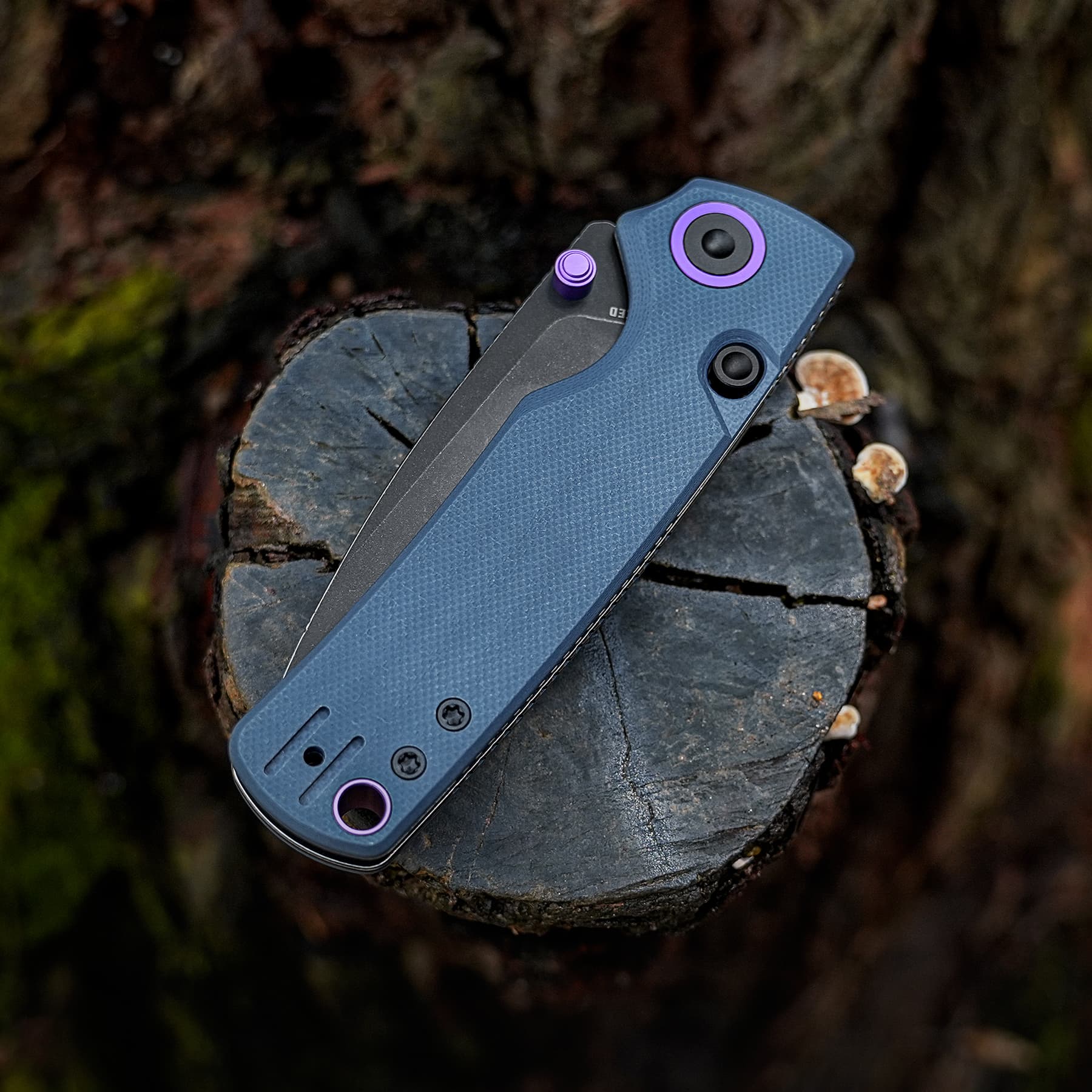 Close-up of a blue rugged smartphone with a purple camera ring resting on a tree stump in a forest setting.