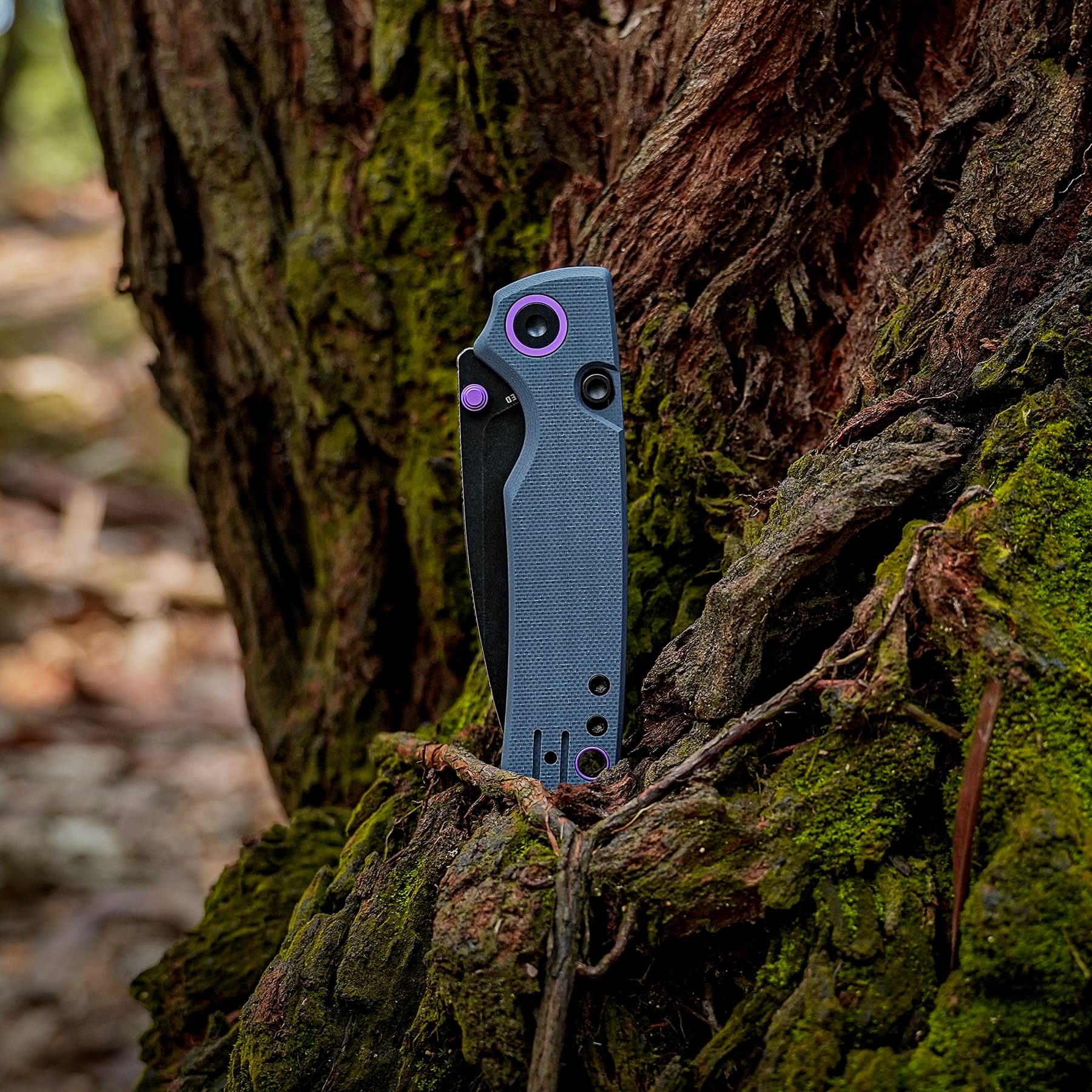 Gray folding knife embedded in mossy tree bark outdoors, purple accents visible on the handle
