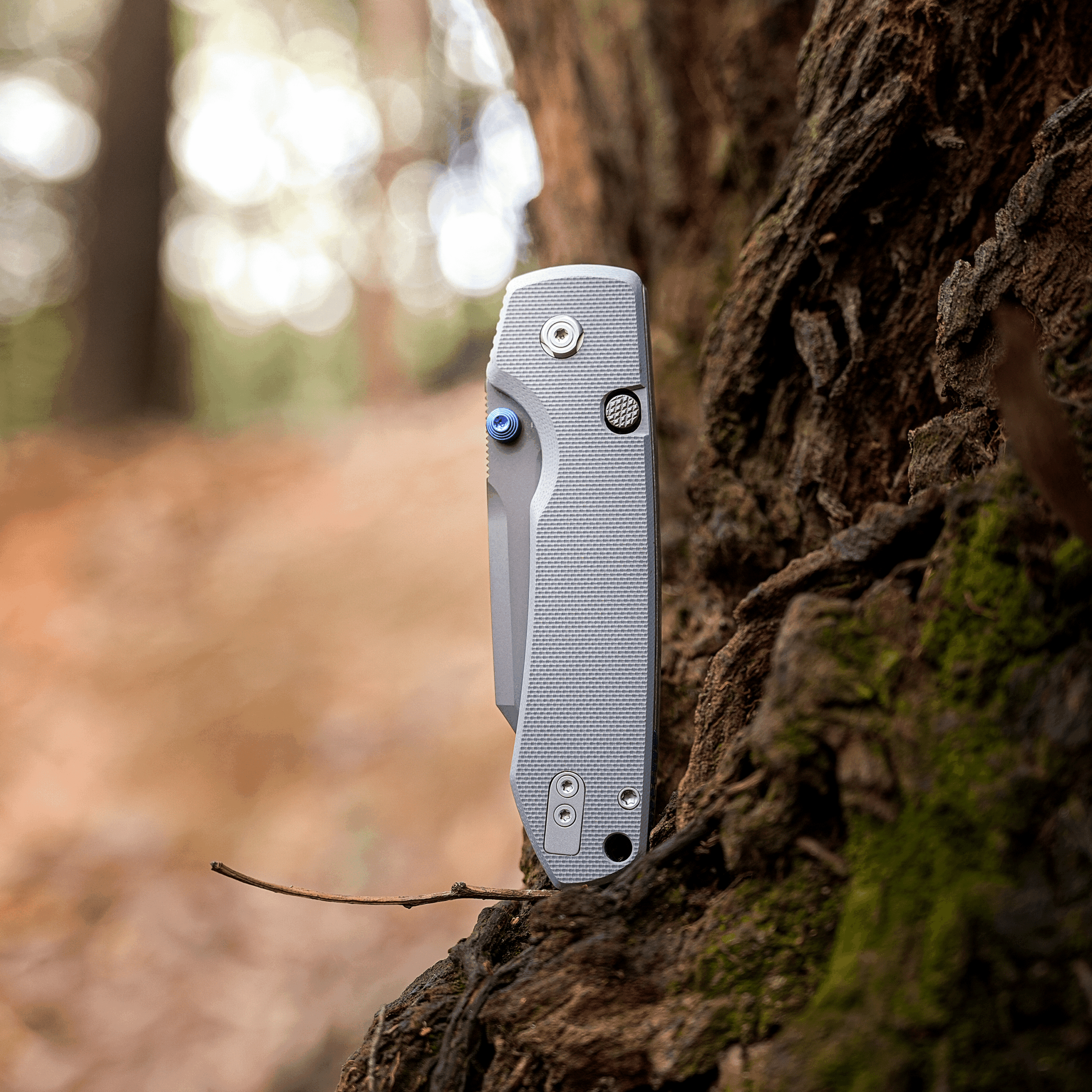 Close-up of a gray folding knife handle attached to a tree trunk in a forest setting.
